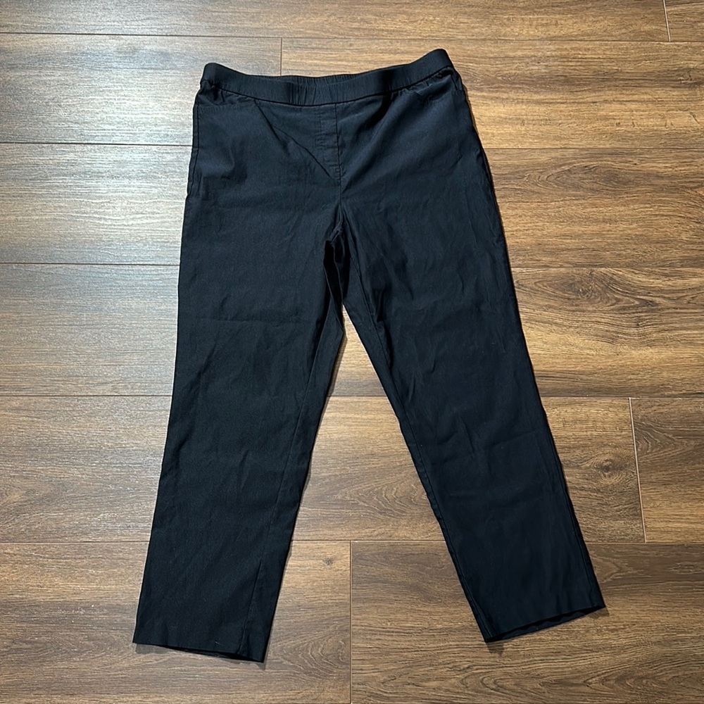 Alfred Dunner Pants